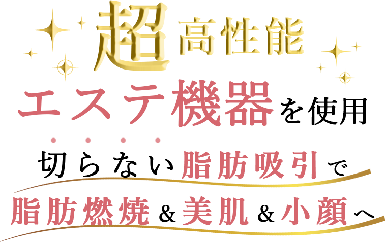 超高性能エステ機器を使用