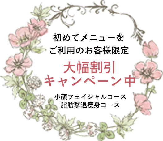 初めてメニューをご利用のお客様限定大幅割引キャンペーン中
